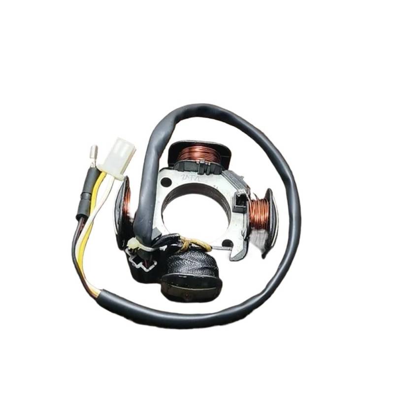 Motorrad Magneto Zündstator Für AG100 AG50 V100 SJ50 leichte 4-Spulen-Stromgenerator-Tuning-Upgrade Statorspule Magneto-Rotor-Zündung von NMHTJ