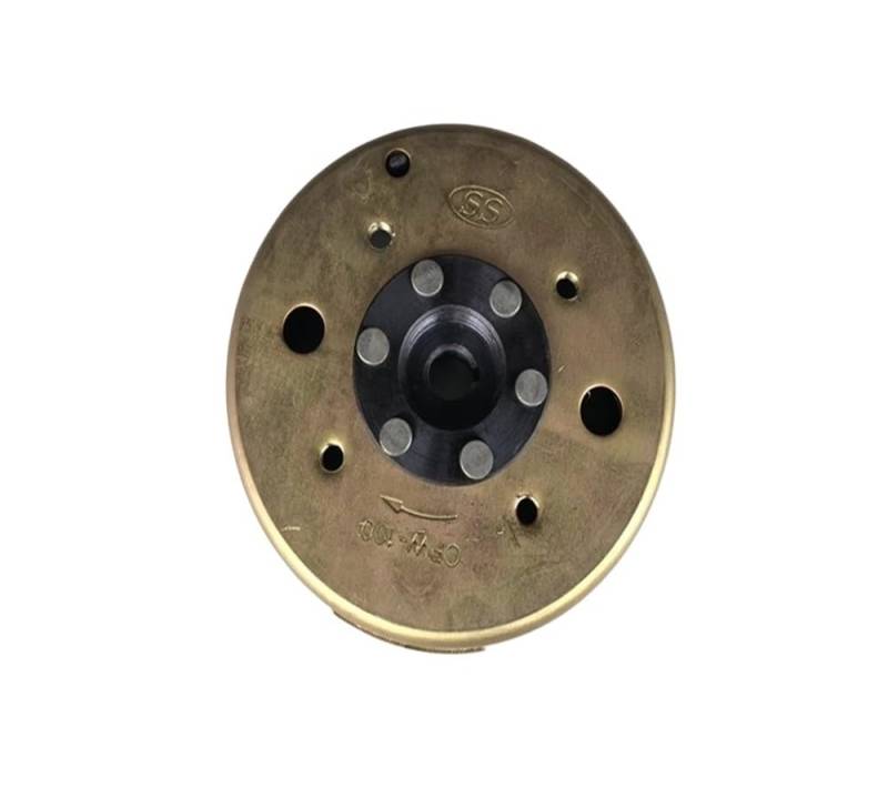 Motorrad Magneto Zündstator Motorrad 8 Pole Vollwelle DC Magneto Stator Coil Generator Magnetzylinder Für WH100T SCR100 SCR 100 GCC100 100cc von NMHTJ