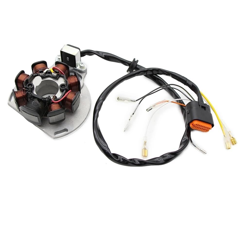 Motorrad Magneto Zündstator Motorrad Generator Magneto Stator Spule Für ME250534005 EC125 2005-2006 EC200 2005-2008 EC250 2005-2008 EC300 2005-2008 Motorrad Magneto Zündstator Motorrad Generator Magneto Stator Spule Für ME250534005 EC125 2005-2006 EC200 2005-2008 EC250 2005-2008 EC300 2005-2008 von NMHTJ