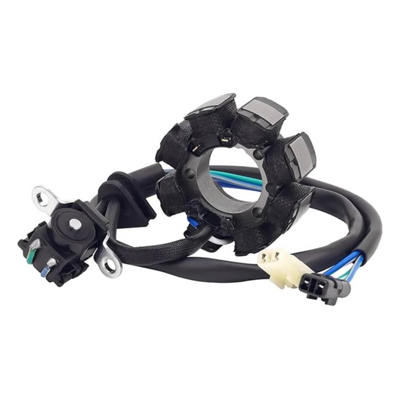 Motorrad Magneto Zündstator Motorrad Generator Stator Spule Comp Für CRF250 CRF250R 250R 2004 2005 2006 2007 2008 2009 31120-KRN-670 CRF 250 von NMHTJ