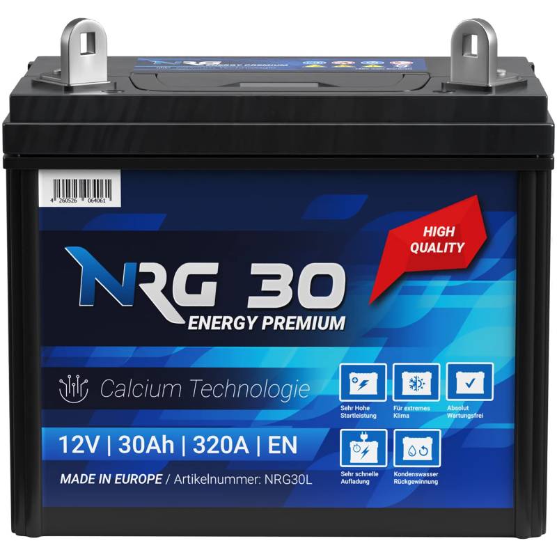 NRG Starterbatterie 30Ah Rasentraktor Aufsitzmäher Rasenmäher Batterie Plus Pol rechts von NRG PREMIUM