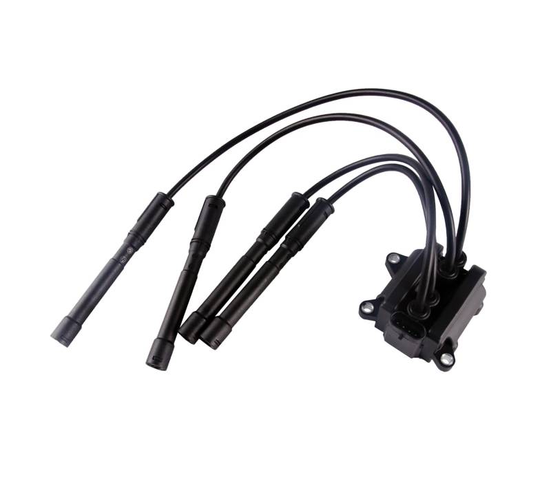 NS-beixin Zündspule für Clio II,für Twingo (C06_),für Kubistar (X76),für Kangoo (KC0/1_)(FC0/1_) 1.2 16V, 597083, 8200025256, 8200051128, 8200084401 von NS-beixin