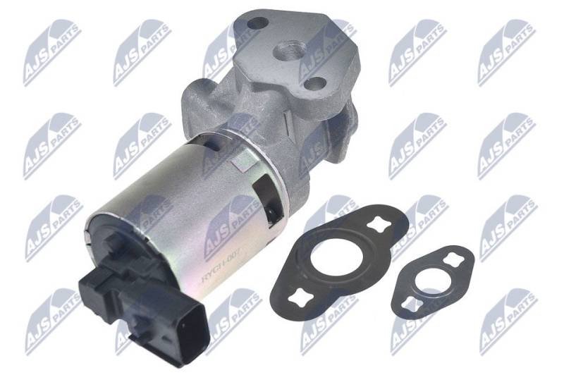 AGR-Ventil NTY EGR-CH-007 von NTY