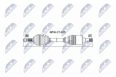 Nty Antriebswelle [Hersteller-Nr. NPW-CT-025] für Citroën, Ds, Fiat, Peugeot von NTY