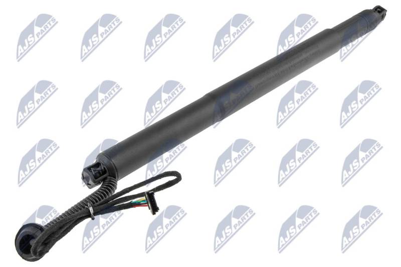 Gasfeder, Einlegeboden (Koffer-/Laderaum) hinten links NTY AE-BM-078 von NTY