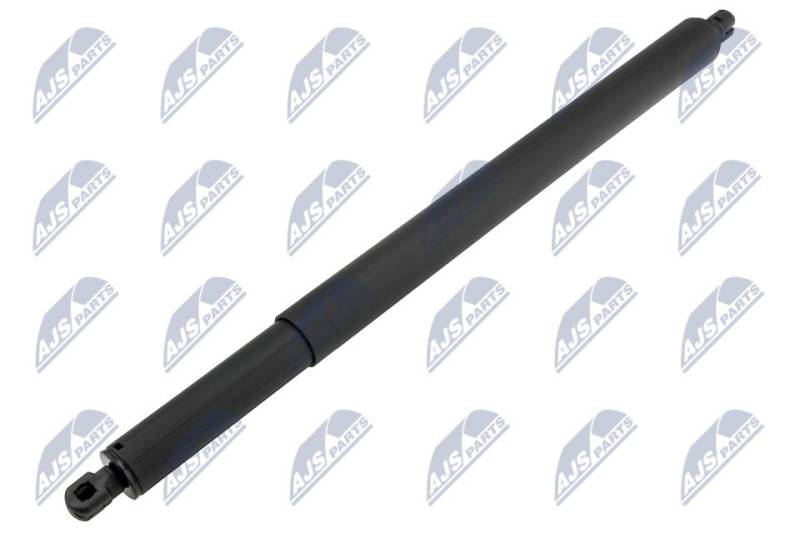 Gasfeder, Koffer-/Laderaum beidseitig hinten NTY AE-BM-111 von NTY