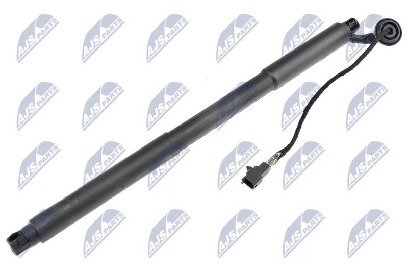Gasfeder, Koffer-/Laderaum hinten links NTY AE-VV-001 von NTY