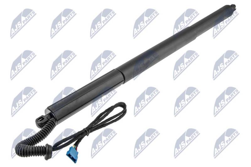 Gasfeder, Koffer-/Laderaum hinten rechts NTY AE-BM-081 von NTY