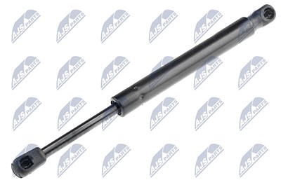 Nty Gasfeder, Koffer-/Laderaum [Hersteller-Nr. AE-AU-060] für Audi, Seat von NTY