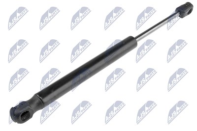 Nty Gasfeder, Koffer-/Laderaum [Hersteller-Nr. AE-CH-005] für Chrysler, Dodge von NTY