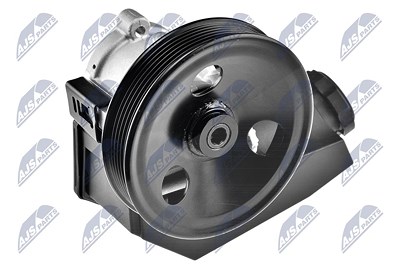 Nty Hydraulikpumpe, Lenkung [Hersteller-Nr. SPW-CH-000] für Jeep von NTY