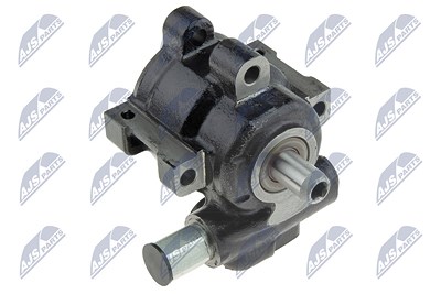 Nty Hydraulikpumpe, Lenkung [Hersteller-Nr. SPW-CH-030] für Dodge von NTY