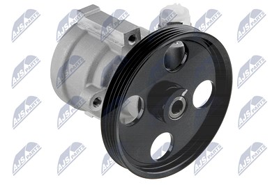 Nty Hydraulikpumpe, Lenkung [Hersteller-Nr. SPW-RE-013] für Dacia, Renault von NTY