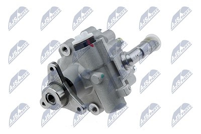 Nty Hydraulikpumpe, Lenkung [Hersteller-Nr. SPW-RE-017] für Renault von NTY