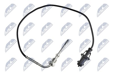 Nty Sensor, Abgastemperatur [Hersteller-Nr. EGT-FT-000] für Fiat von NTY