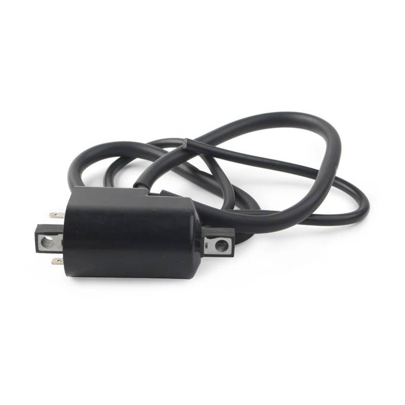 Statorspule Für Suzuki Für GS550 Für GS550E S Für GS550EF Für GS550L Für GS650G Für GS750 Für GS850 Für GSX GV Serie Motor 33410-31311 Motorrad Zündspule(1 Set) von NVCPHGEDEK