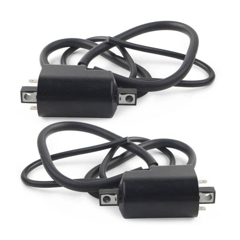 Statorspule Für Suzuki Für GS550 Für GS550E S Für GS550EF Für GS550L Für GS650G Für GS750 Für GS850 Für GSX GV Serie Motor 33410-31311 Motorrad Zündspule(2 Sets) von NVCPHGEDEK