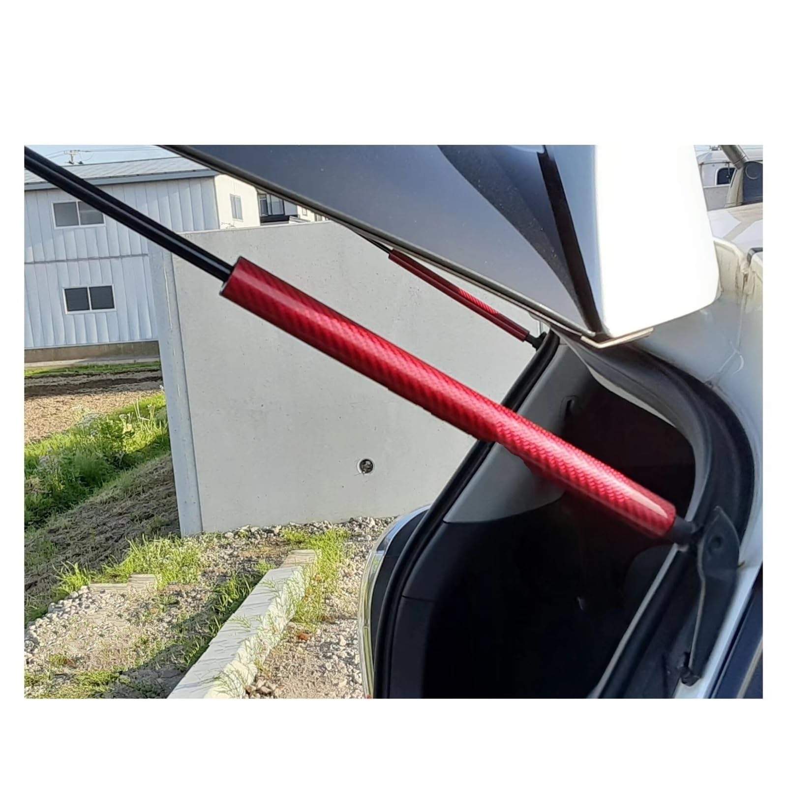 Gasfeder Dämpfer Heckklappe Für Toyota Für Wish Für ZNE10 Stamm Boot Heben Unterstützung Gas Frühling Schocks Absorber Dämpfer Kolben Stangen Hinten Heckklappe Kofferraum Gasfeder(Blue Carbon Fiber) Gasfeder Dämpfer Heckklappe Für Toyota Für Wish Für ZNE10 Stamm Boot Heben Unterstützung Gas Frühling Schocks Absorber Dämpfer Kolben Stangen Hinten Heckklappe Kofferraum Gasfeder(Blue Carbon Fiber) von NVETJMUA