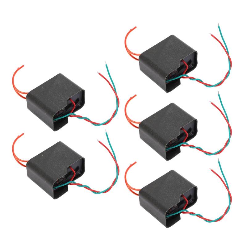 Hochspannungsgenerator 200KV Boost Step Up Power Modul Transformator für Wissenschaftsexperimente von NYSUZHOUJI