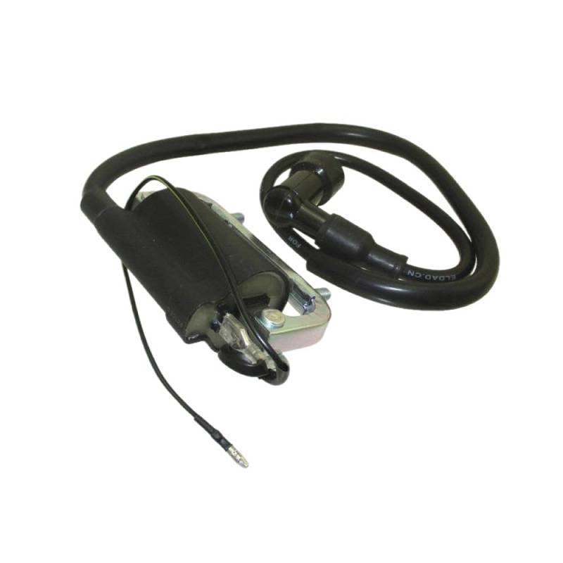 6V Zündspule Universal Fit Kompatibel mit DAX CT70 ST70 50 CF50 CF70 POTIBLER mit C70M CA100 CA102 CA105T CA110 CA200 CM91 CT90 CT200 von NYUwec