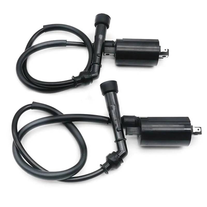 Encendido Motocicleta Zündungen Für Kawasaki Für EN500C Für Vulcan 500 Ltd 2000 2001 2002 2003 2004 2005 2006 2007 2008 2009 2 Stück Motorrad Leistung Teile Zündspule von NZGZLMMETK