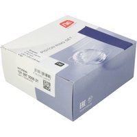Kolbenringsatz NE 7924095000 von Ne