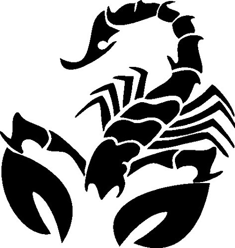 Plott Aufkleber Skorpion Scorpion Gift Giftig Sternzeichen Sticker Tuning von NetSpares