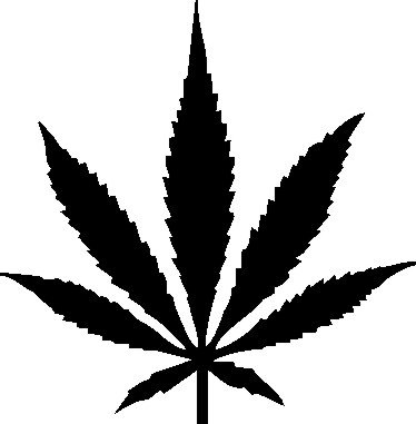 Plott Aufkleber Cannabisblüte Pflanze Hanf Cannabis Sticker Shocker Fun Plott Aufkleber Cannabisblüte Pflanze Hanf Cannabis Sticker Shocker Fun von NetSpares