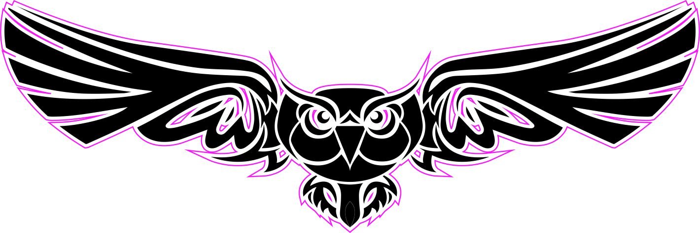 NetSpares 1 x Aufkleber Eule Flug Himmel Sticker Autoaufkleber Tuning Fun Gag NetSpares 1 x Aufkleber Eule Flug Himmel Sticker Autoaufkleber Tuning Fun Gag von NetSpares