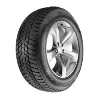 Nexen Winguard Ice Plus (235/40 R18 95T) von Nexen