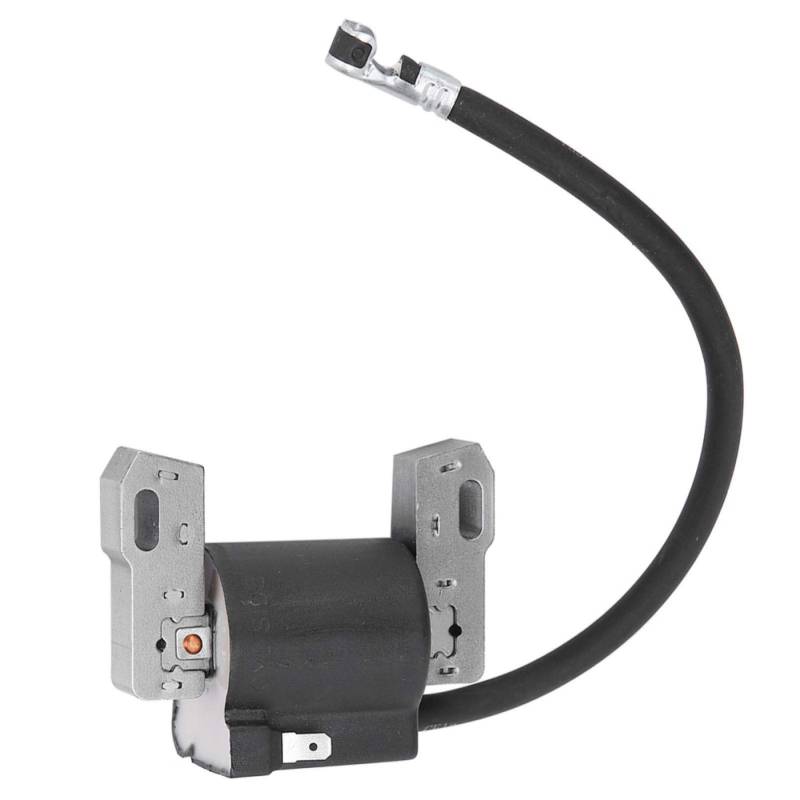 Nikou Zündspule Motor, Filter Elektronisch Zündspule Modul Ersatz Motor Zündspule Rasenmäher für B-Riggs Stratton 691060 592846 799651 von Nikou