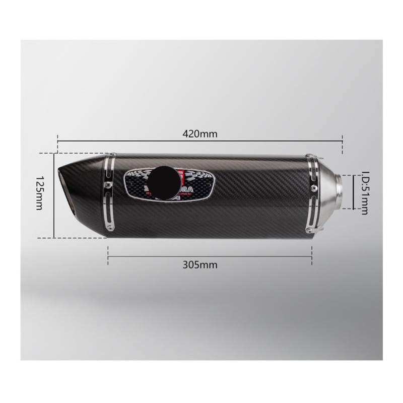 Niyade Motorrad Auspuffrohr Für CBR300R Für CB300R Für CB300F 2018-2024 Motorrad Auspuffrohr Ändern Mittleren Link Rohr Slip Auf Mit Schalldämpfer(Color C) von Niyade