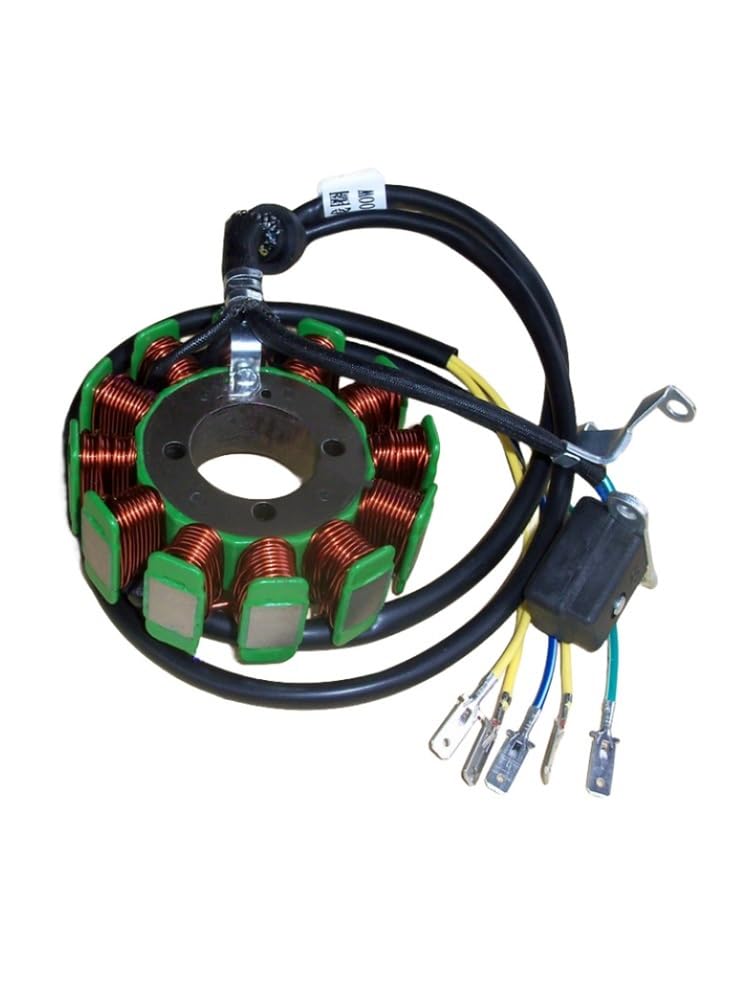 Niyade Stator Zündspule Dreirädriges Motorrad ATV CG125 300 Geeignet für Stromgenerator Spulenmotor Stator 12 Pole 160W 200 250W(CG 12 Poles 200W) von Niyade
