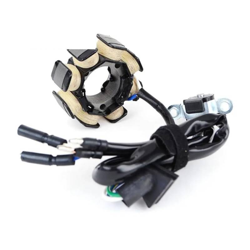 Niyade Stator Zündspule Für CRF250 450 450R Motorrad Generator Stator Spule Für CRF250450 Für CRF250 Für 450R 2004 31120-MEN-003 von Niyade