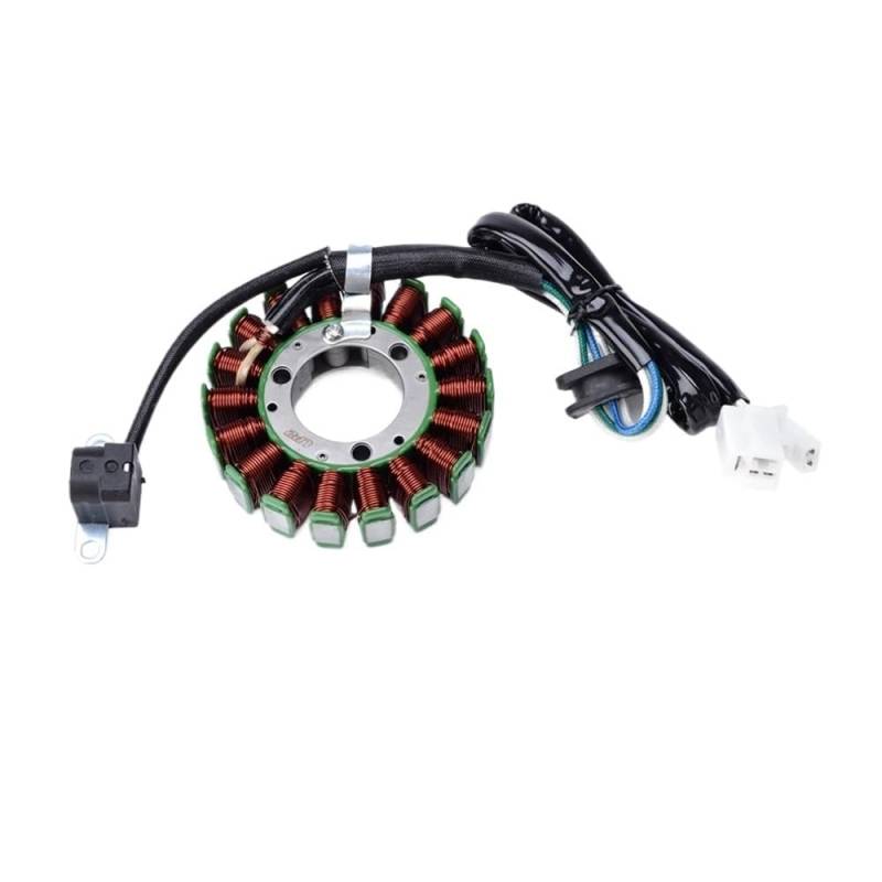 Niyade Stator Zündspule Für TTR Für TT 250 R Motorrad Generator Stator Spule Comp Für TTR250 Für TT-R250 Für TT250R RAID Für TT250 4GY-81410-01-00 von Niyade
