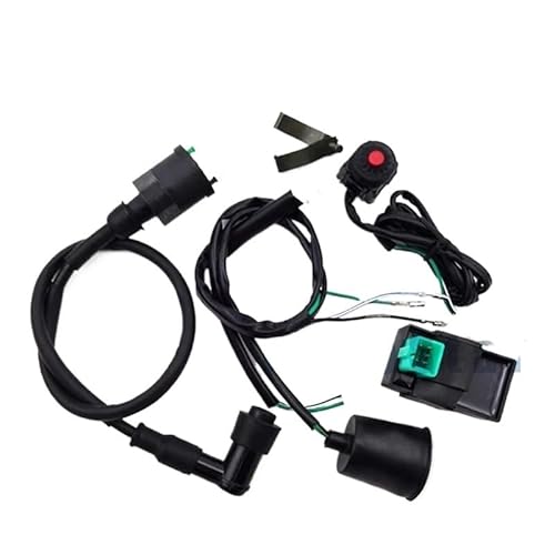 Niyade Stator Zündspule Kabelbaum + Kill-Schalter + Zündspule + 5-polige AC-CDI-Box Für 50 Cc - 160 Cc Für Pit Dirt Bike-Motorräder von Niyade