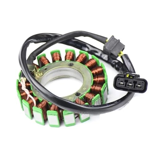 Niyade Stator Zündspule Motorrad Generator Stator Spule Comp Für F650GS 2009-2014 Für F800R 2010-2014 Für F800S Für F800GS Für F800ST Für F800GT Für F700GS 13-14 18 von Niyade