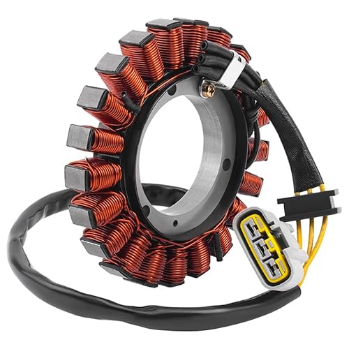 Niyade Stator Zündspule Motorrad Generator Stator Spule Für R1200GS K50 ADV K51 Für R1200R K53 Für R1200RS K54 R1200 GS RS R 1200 von Niyade