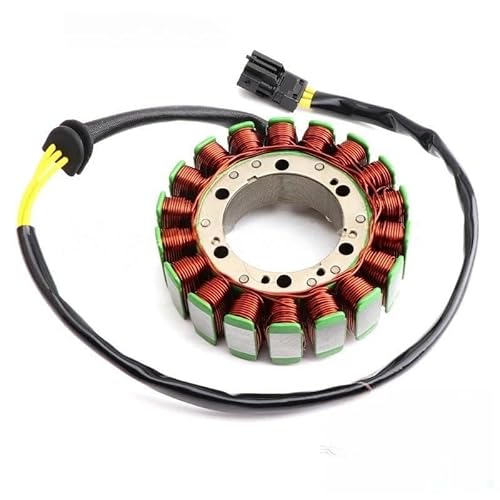 Niyade Stator Zündspule Motorrad Zubehör Generator Stator 12V Magneto Comp Spule Für F650GS Für F800S Für F800GS Für F800ST Für F800GT Für F700GS 09-14 10-14 Jahre von Niyade