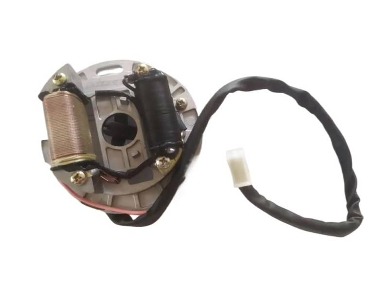 Niyade Stator Zündspule Statorspule Magneto Stator Zündspule Rotorspule Stator für AX100 von Niyade