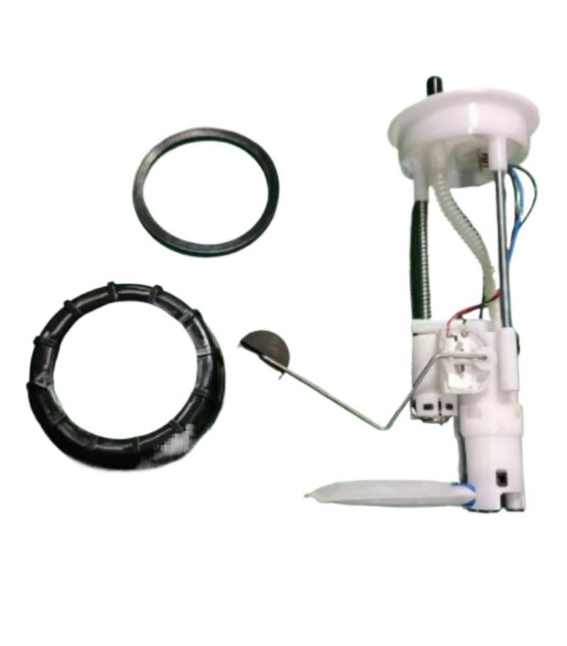 Kraftstoff Pumpe Kraftstoff Pumpe Modul Montage Für Polaris Für RZR 900 XP 1000 2014-2020 2205502 2208323 Kraftstoffpumpen von Nqimgv