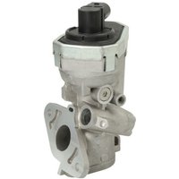 AGR Ventil NRF 48376 AGR Ventil NRF 48376 von Nrf