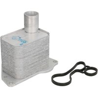 Ölkühler, Motoröl NRF 31772 von Nrf