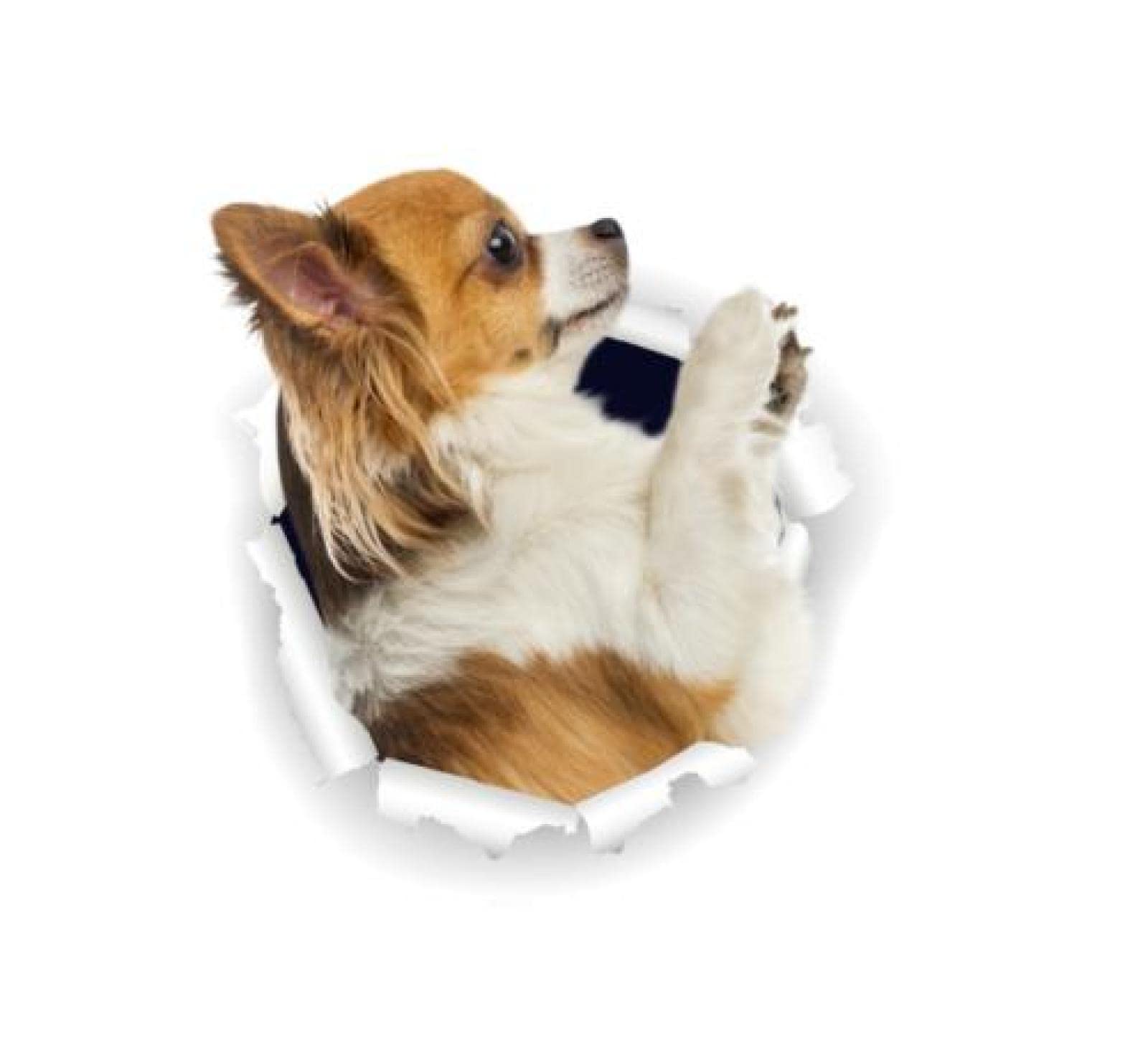 OGJFLT Auto Sticker Autoaufkleber Lustig Dog 2Pcs 15Cm 3D-Chihuahua-Hundeaufkleber Super Staffie-Aufkleber An Der Wand, Kühlschrank, Toilette, Auto, Fahrrad von OGJFLT
