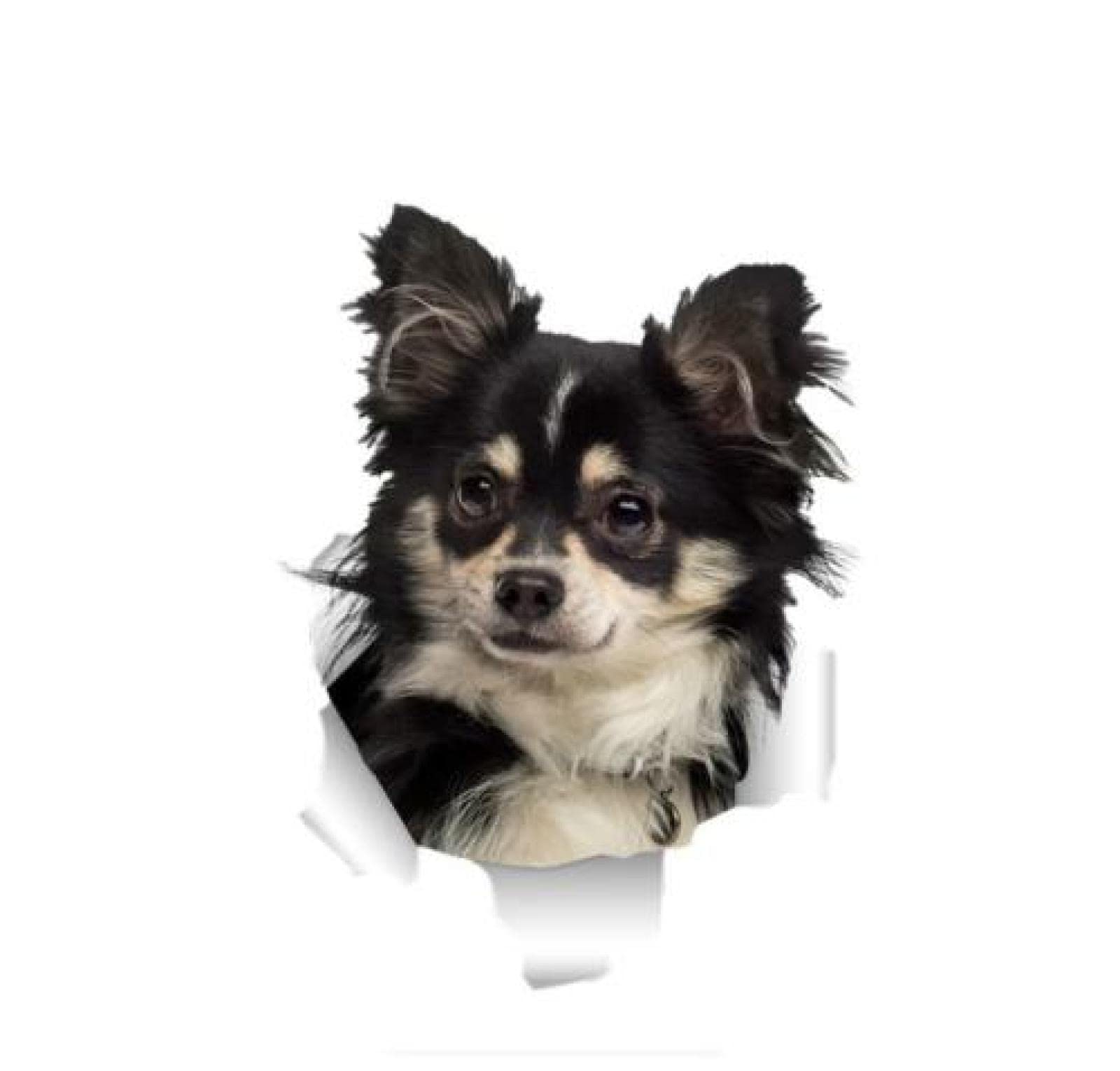 OGJFLT Auto Sticker Autoaufkleber Lustig Dog 2Pcs 15Cm Persönlichkeit Auto Aufkleber Niedlich 3D Zerrissenes Metall Chihuahua Hund Vinyl Wasserdicht Autofenster Zubehör Reflektierendes PVC von OGJFLT