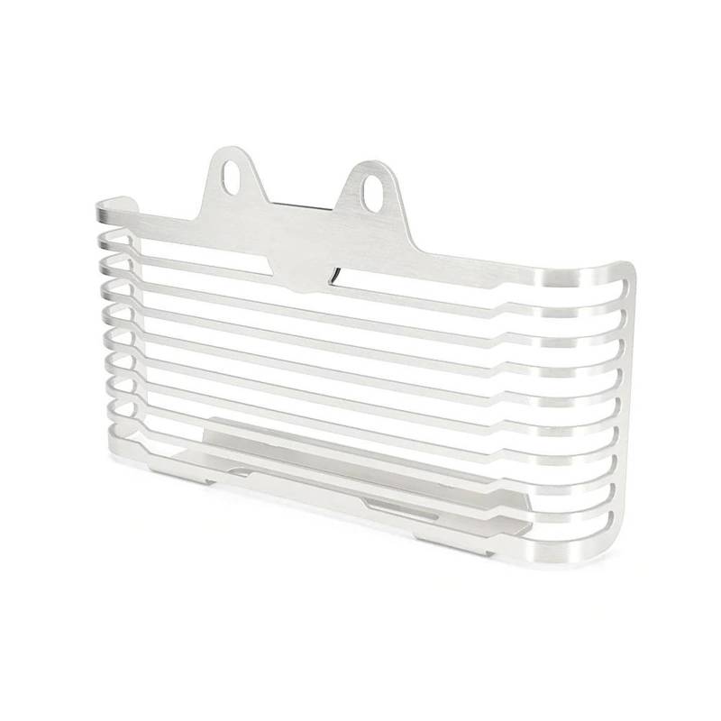 Motorrad Kühlerschutz Kühlergrill Wache Abdeckung Kraftstoff Tank Schutz Motorrad Für BMW RNINET R RNIN T RninT R9T R9t 2021 2022 2023(Silver) von OJNHSFVPO