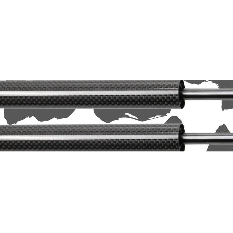 Motorhauben-Gasfeder Für Odyssey RA6 RA7 RA8 RA9 1999 2000 2001 2002 2003 Vorderen Motorhaube Ändern Gas Streben Frühling Dämpfer Lift Unterstützung Haubendämpfer(Schwarz) von OJTEMHBH
