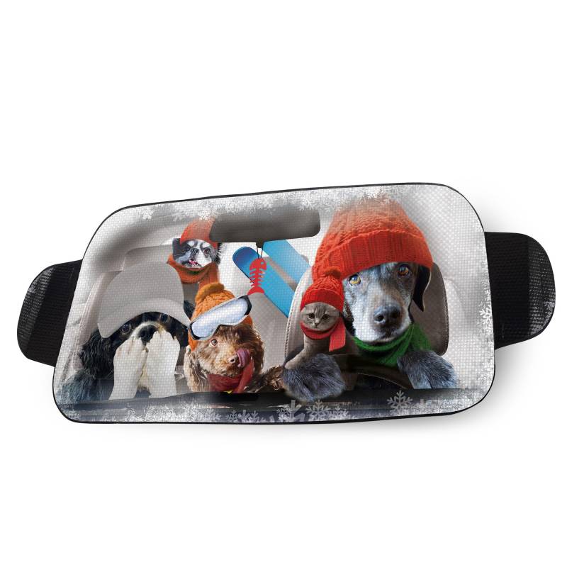 OK Cars Alu Windschutzscheibenabdeckung Hund – 150 x 70 cm – Frontscheibenabdeckung Winter – Universell passender Frostschutz Auto – Faltbare Auto Frostschutz Abdeckung von OK Cars