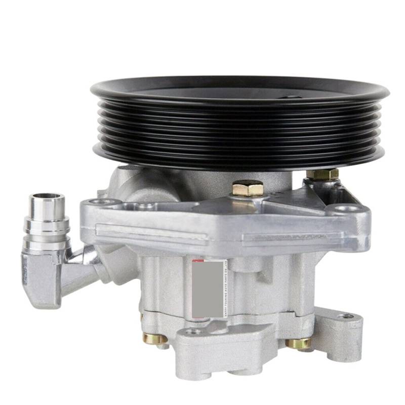 Servolenkungspumpe kompatibel mit MERCEDES W251 W164 V251 E350 E550 ML350 ML500 R500 A0044668601 A0044667601 0044667601 00446667 8601 von OQUFINTER