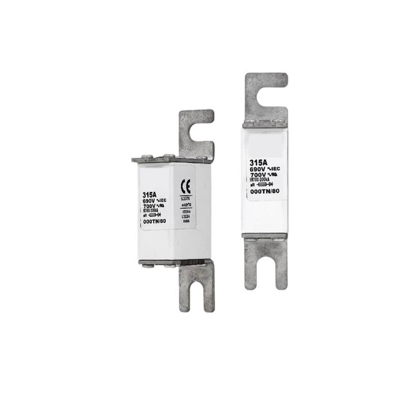 Sicherung 170M3924 von OSQZHBFE